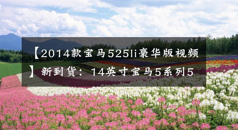 【2014款宝马525li豪华版视频】新到货：14英寸宝马5系列525Li豪华套装设计实表6.48万公里。