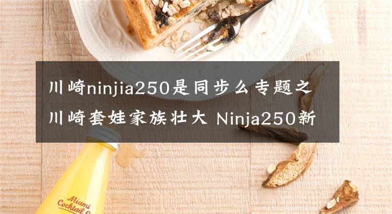 川崎ninjia250是同步么专题之川崎套娃家族壮大 Ninja250新款日本上市