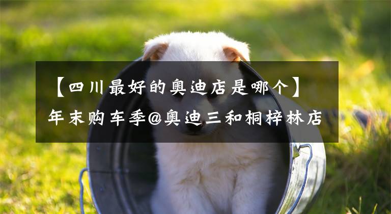 【四川最好的奥迪店是哪个】年末购车季@奥迪三和桐梓林店A7限时钜惠