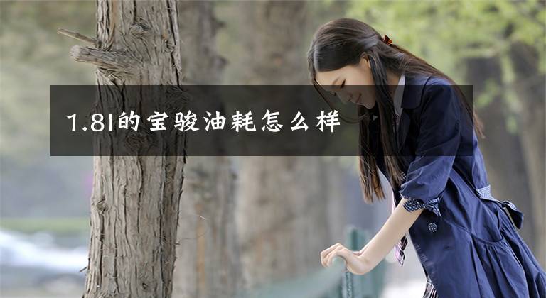 1.8l的宝骏油耗怎么样