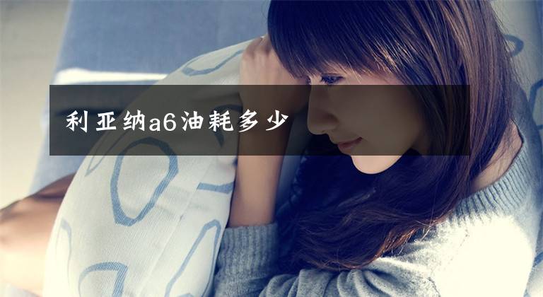 利亚纳a6油耗多少