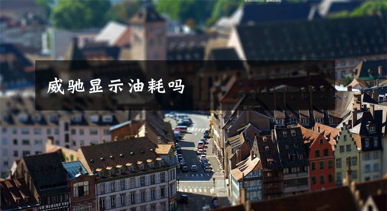 威驰显示油耗吗