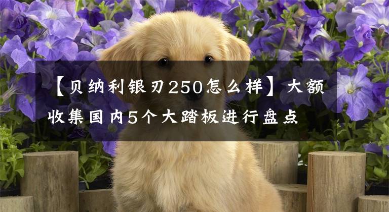 【贝纳利银刃250怎么样】大额收集国内5个大踏板进行盘点