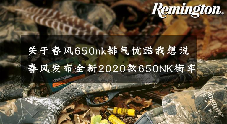 关于春风650nk排气优酷我想说春风发布全新2020款650NK街车