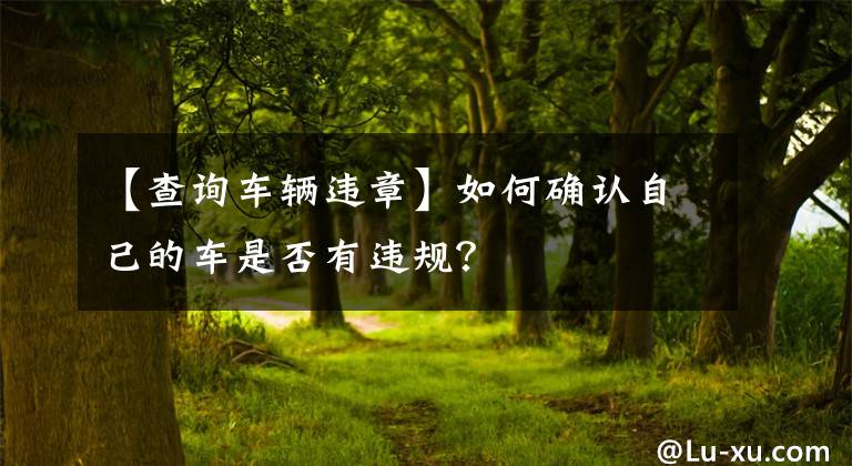 【查询车辆违章】如何确认自己的车是否有违规?
