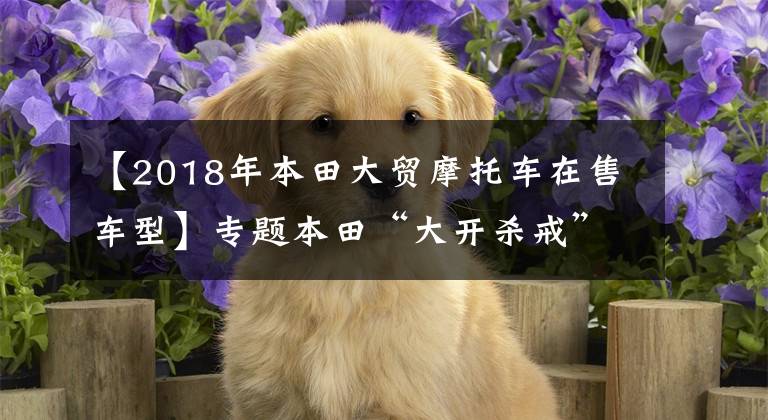 【2018年本田大贸摩托车在售车型】专题本田“大开杀戒”?四款大贸接受预订,最早7月到货
