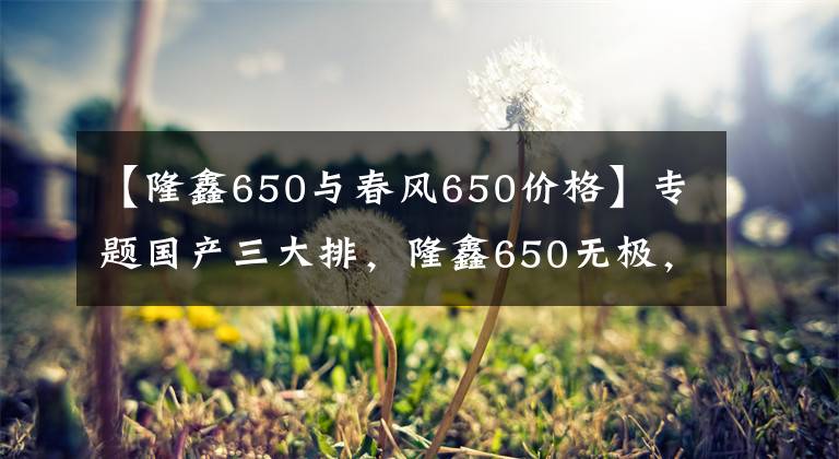 【隆鑫650与春风650价格】专题国产三大排，隆鑫650无极，车友花4万购入，却被朋友批评好久