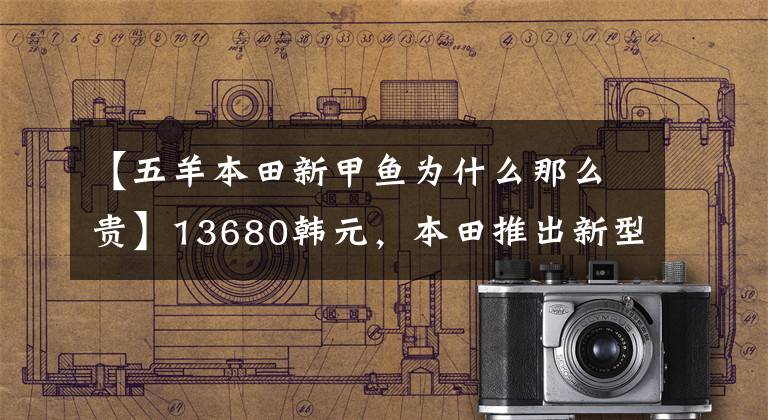 【五羊本田新甲鱼为什么那么贵】13680韩元,本田推出新型滑板车