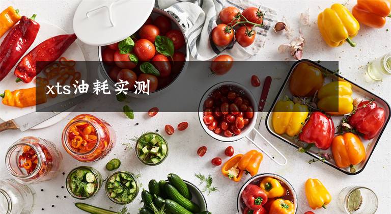 xts油耗实测
