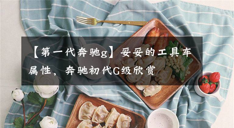 【第一代奔驰g】妥妥的工具车属性,奔驰初代G级欣赏