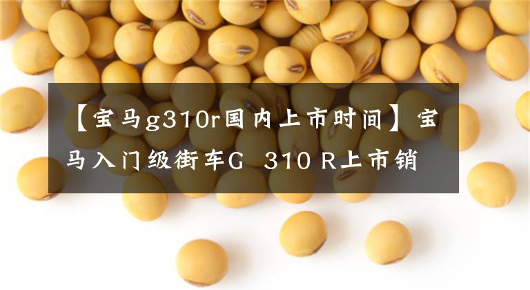 【宝马g310r国内上市时间】宝马入门级街车G 310 R上市销售4.89万韩元