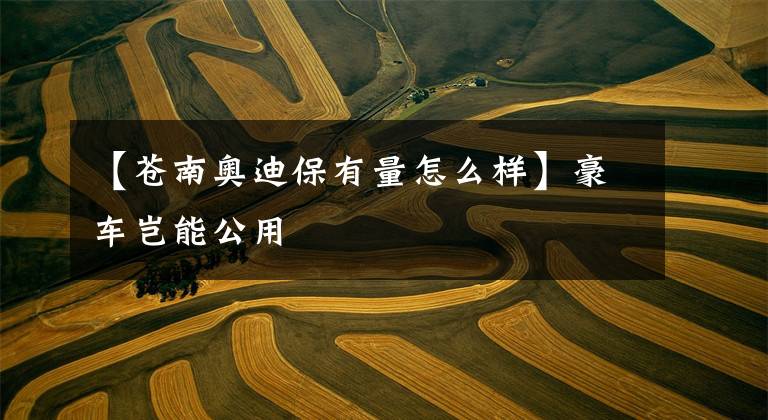 【苍南奥迪保有量怎么样】豪车岂能公用