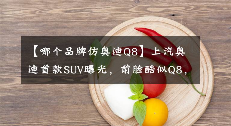 【哪个品牌仿奥迪Q8】上汽奥迪首款SUV曝光，前脸酷似Q8，三种动力，或定名Q5 e-tron