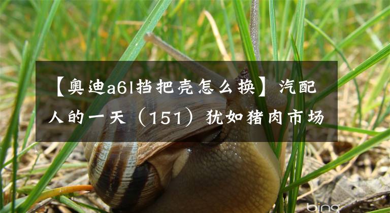 【奥迪a6l挡把壳怎么换】汽配人的一天(151)犹如猪肉市场,拆车德系奥迪A6L车壳