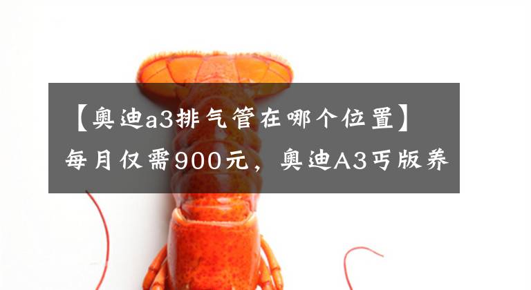 【奥迪a3排气管在哪个位置】每月仅需900元,奥迪A3丐版养车成本解析,裸车才13.3万