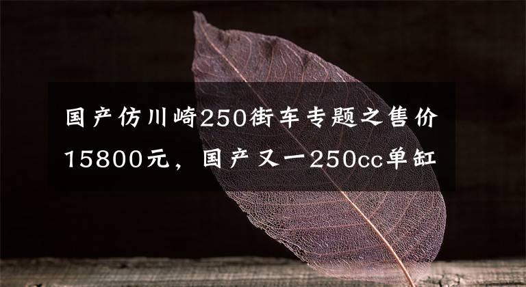 国产仿川崎250街车专题之售价15800元，国产又一250cc单缸水冷街车即将上市，配博世ABS