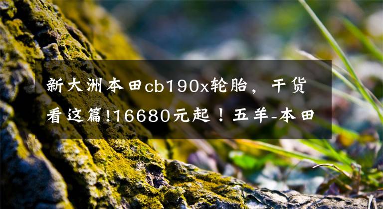 新大洲本田cb190x轮胎,干货看这篇!16680元起!五羊-本田新猛鸷CB190X再进化