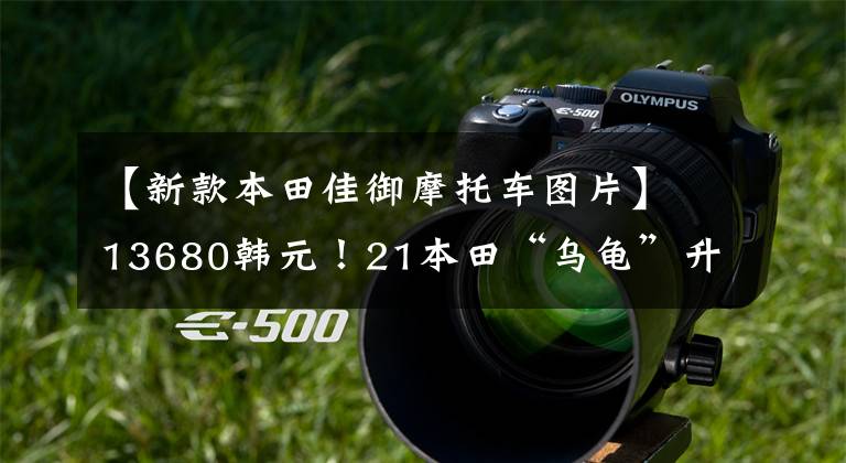 【新款本田佳御摩托车图片】13680韩元！21本田“乌龟”升级水冷发动机CBS维护