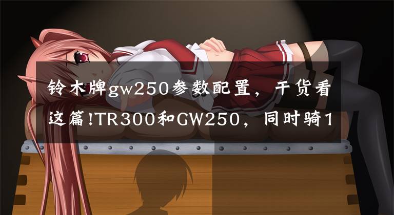 铃木牌gw250参数配置，干货看这篇!TR300和GW250，同时骑100公里小长途，哪款更舒适？