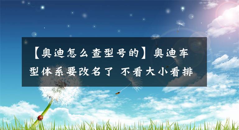 【奥迪怎么查型号的】奥迪车型体系要改名了 不看大小看排量 识别型号将与功率相关