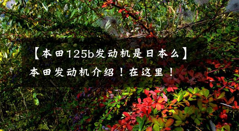 【本田125b发动机是日本么】本田发动机介绍！在这里！