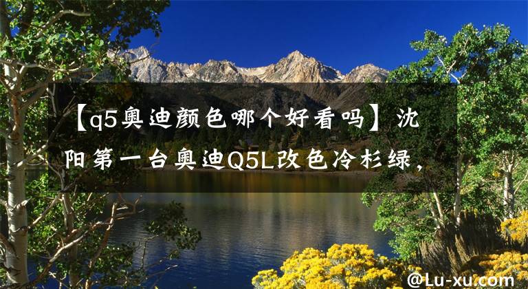 【q5奥迪颜色哪个好看吗】沈阳第一台奥迪Q5L改色冷杉绿,一眼就相中的颜色