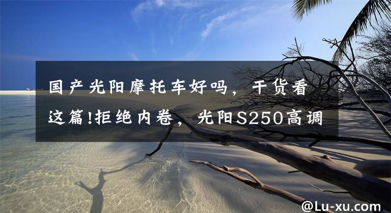 国产光阳摩托车好吗,干货看这篇!拒绝内卷,光阳S250高调发布!