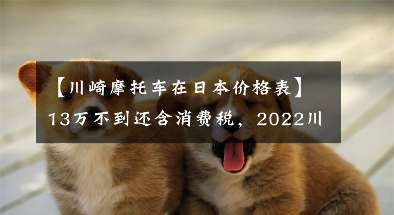 【川崎摩托车在日本价格表】13万不到还含消费税，2022川崎ZX-10R日本焕新啰