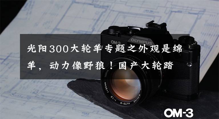 光阳300大轮羊专题之外观是绵羊，动力像野狼！国产大轮踏板车，19匹马力，极速125km