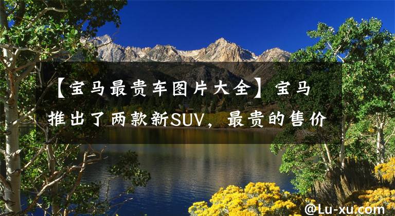 【宝马最贵车图片大全】宝马推出了两款新SUV,最贵的售价为99.69万韩元,比特斯拉model X加快了速度。