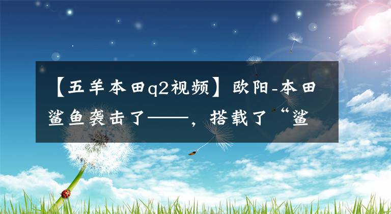 【五羊本田q2视频】欧阳-本田鲨鱼袭击了——,搭载了“鲨鱼TECH”高效技术、电动喷雾引擎。
