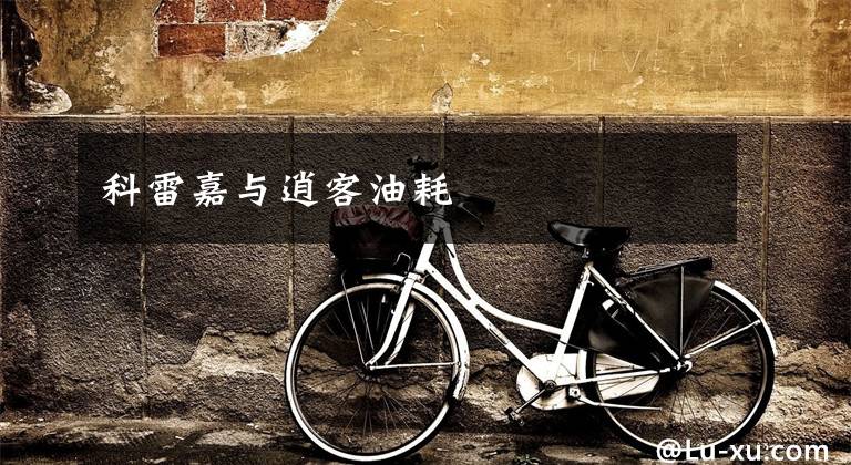 科雷嘉与逍客油耗