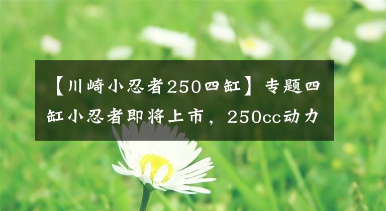 【川崎小忍者250四缸】专题四缸小忍者即将上市,250cc动力秒杀中量级,车友:售价太贵