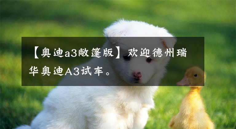 【奥迪a3敞篷版】欢迎德州瑞华奥迪A3试车。