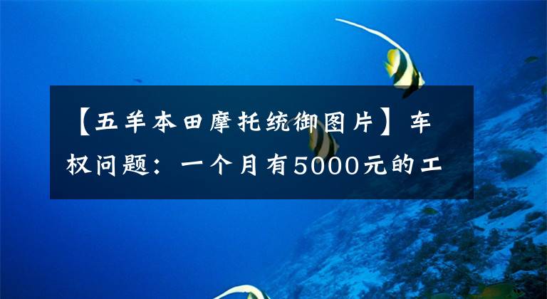 【五羊本田摩托统御图片】车权问题:一个月有5000元的工资,应该选择本田125的什么车?