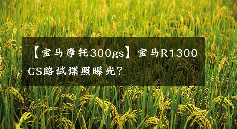 【宝马摩托300gs】宝马R1300GS路试谍照曝光?