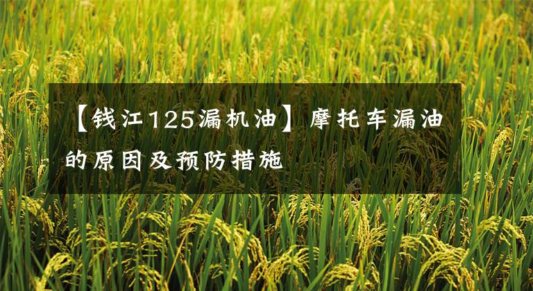 【钱江125漏机油】摩托车漏油的原因及预防措施