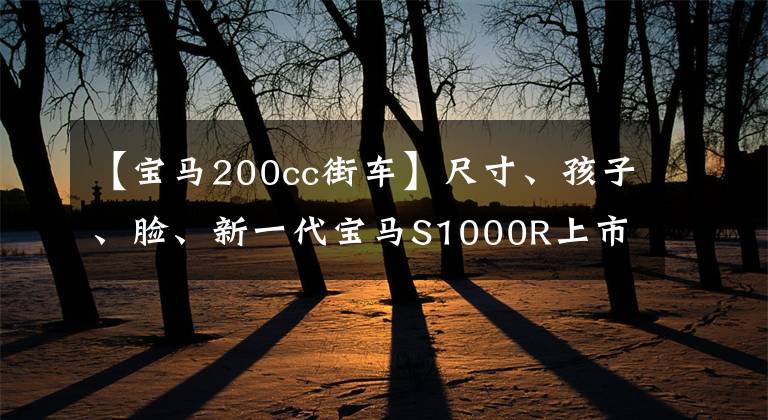 【宝马200cc街车】尺寸、孩子、脸、新一代宝马S1000R上市减重增加性能提高