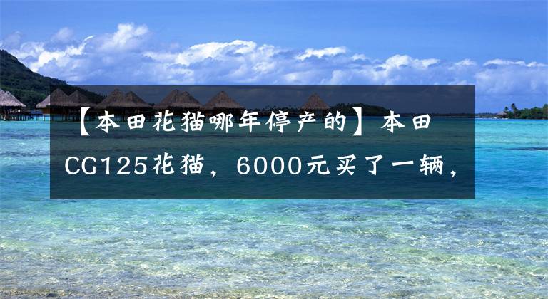 【本田花猫哪年停产的】本田CG125花猫,6000元买了一辆,外观不变,灵魂不再存在。