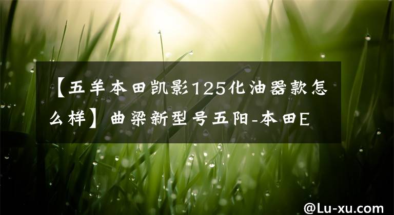 【五羊本田凯影125化油器款怎么样】曲梁新型号五阳-本田EFI  CAI影125上市