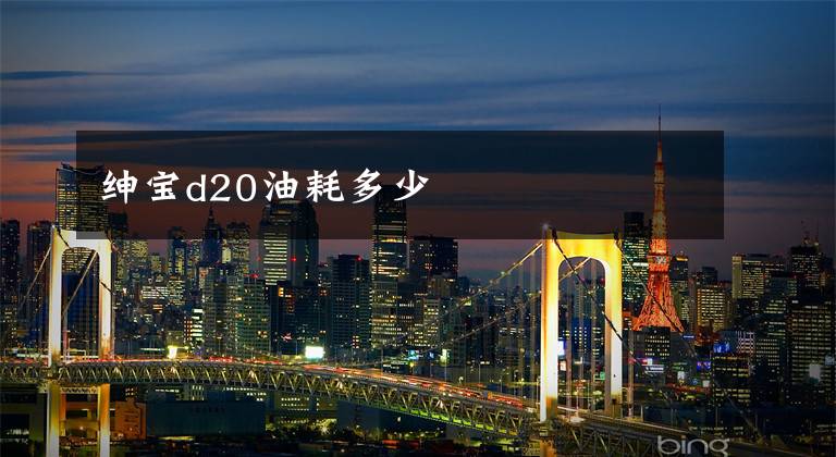 绅宝d20油耗多少