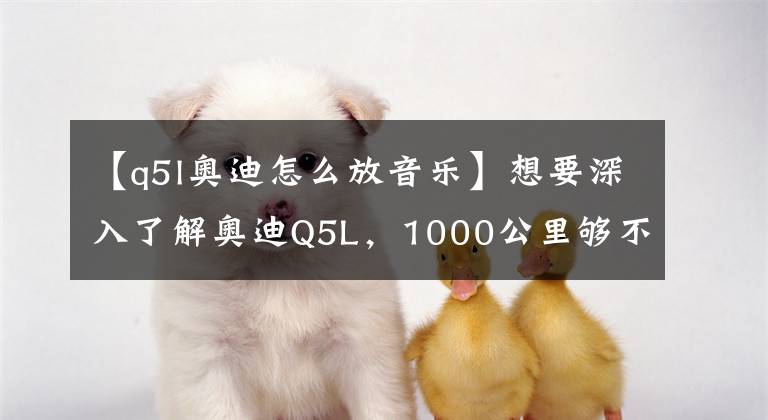 【q5l奥迪怎么放音乐】想要深入了解奥迪Q5L,1000公里够不够?|新车速递