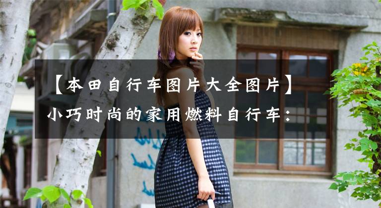 【本田自行车图片大全图片】小巧时尚的家用燃料自行车:本田胡明