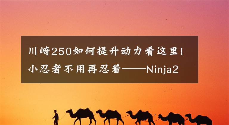 川崎250如何提升动力看这里!小忍者不用再忍着——Ninja250改装示范