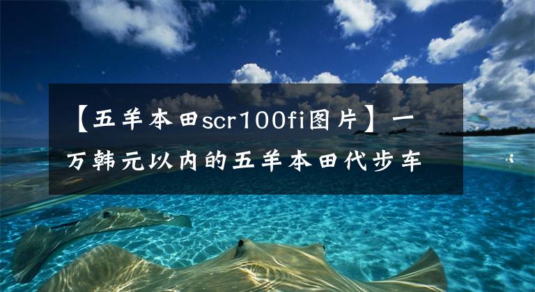 【五羊本田scr100fi图片】一万韩元以内的五羊本田代步车哪个好？