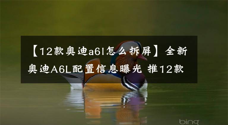 【12款奥迪a6l怎么拆屏】全新奥迪A6L配置信息曝光 推12款车型 标配21项科技安全配置