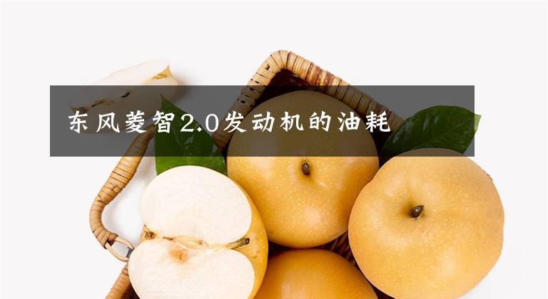 东风菱智2.0发动机的油耗