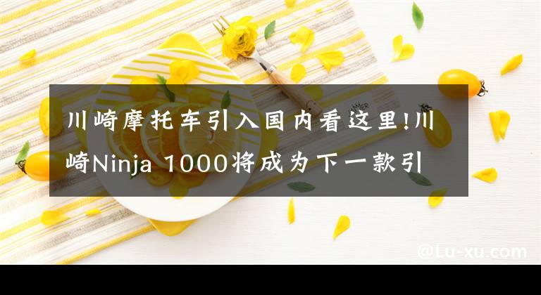川崎摩托车引入国内看这里!川崎Ninja 1000将成为下一款引进国内的车型？计划本月13号发布