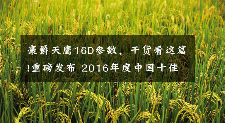 豪爵天鹰16D参数,干货看这篇!重磅发布 2016年度中国十佳摩托车