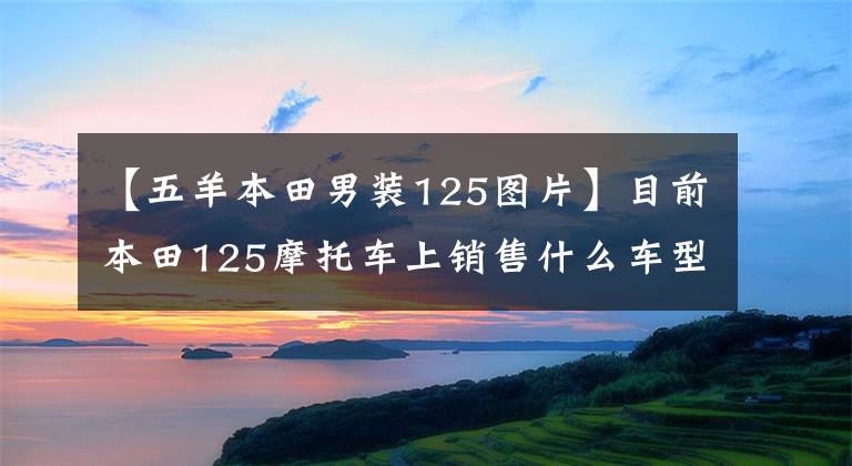 【五羊本田男装125图片】目前本田125摩托车上销售什么车型?它们分别是什么价格?